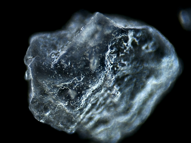 Grano de Sal. Foto tomada usando técnica Dark Fields