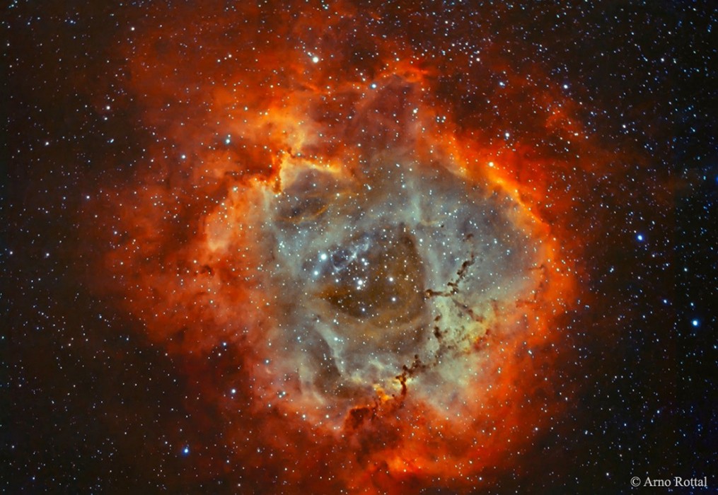 nebulosa-roseta