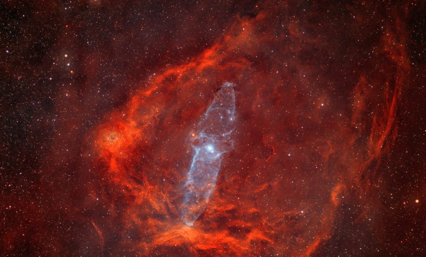 nebulosa-calamar-nebulosa-murcielago