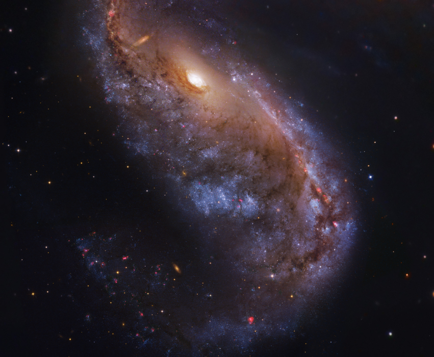 galaxia-NGC-2442