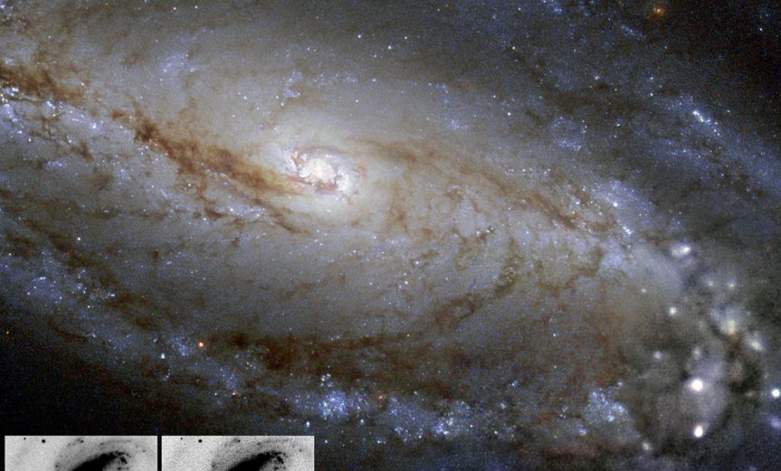 supernova-astronomo-aficionado