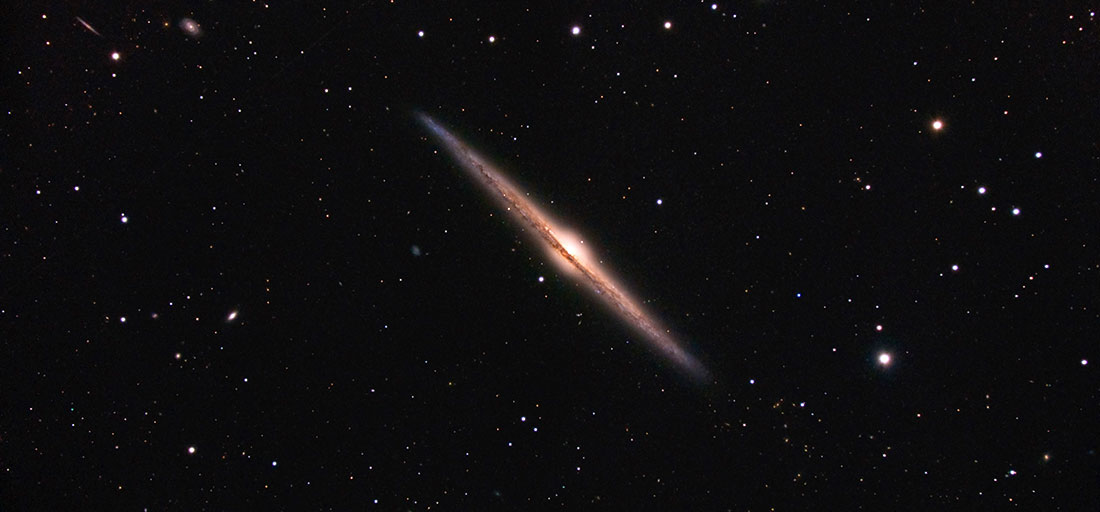 NGC-4565