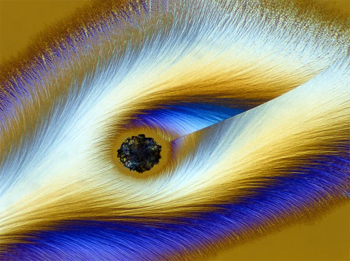 El fotógrafo alemán Karl Deckart hace que la vitamina C se vea francamente fantasmagórica bajo un microscopio de campo brillante y luz polarizada.

Imagen de Karl Deckart