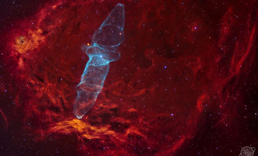 nebulosa del calamar gigante