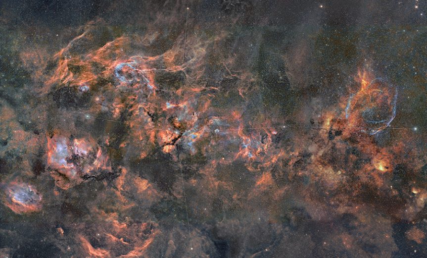 constelacion cygnus cisne